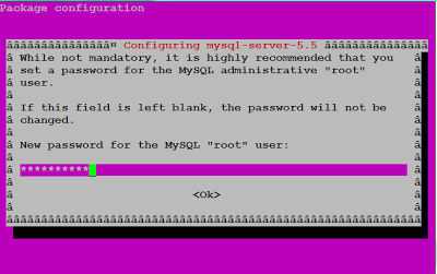 SQL password