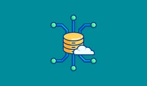 What is Shared Web Hosting Services