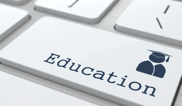 Importance of Business and IT Courses for Career Building