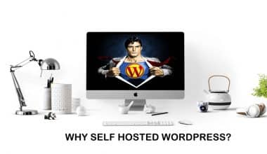 blog on self hosted wordpress platform