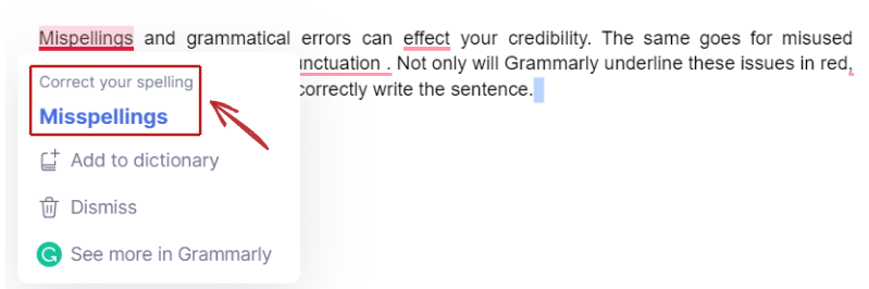 grammarly spell check example